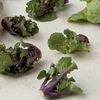 Move Over Kale, Make Room For Precious 'Lollipop Kale'
